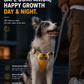 NOVET AirMesh 反光胸背帶