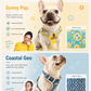 NOVET AirMesh 反光胸背帶